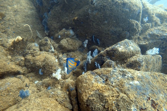 Scuba Diving in Mirissa - The Sum Up