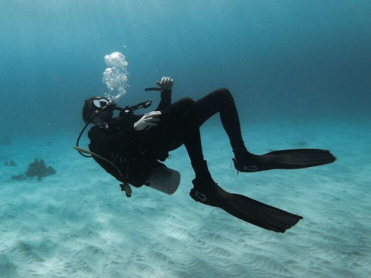 Scuba Diving in Mirissa - Experience Highlights