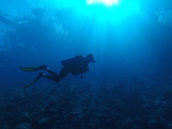 Scuba Diving in Mirissa - Booking and Reservation Process