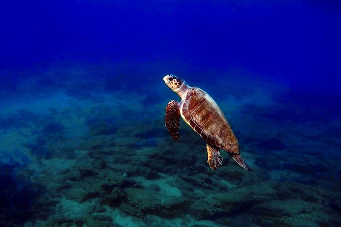 Scuba Diving in Naxos, Greece - Traveler Reviews of Scuba Diving in Naxos