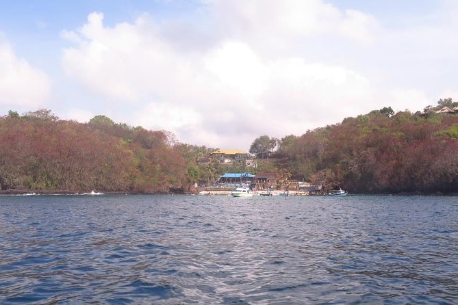 Scuba Diving in PADANG BAY BALI - Dive Sites and Marine Life