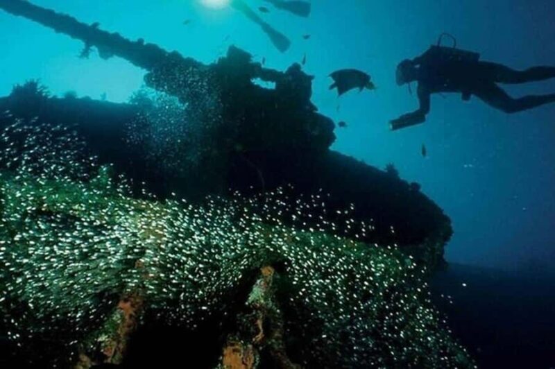 Scuba Diving in Pasikudah - Good To Know