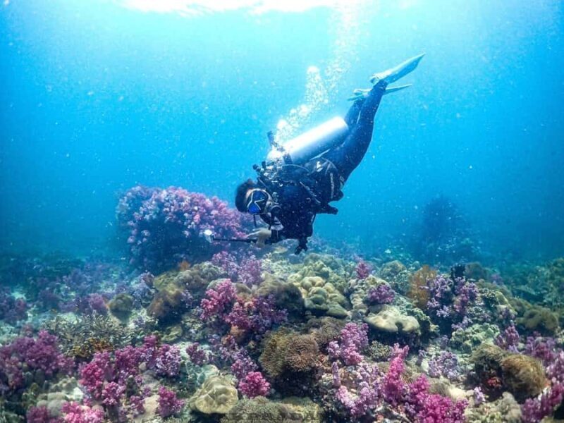 Scuba Diving in Phuket 4-Day 3-Night Experience - Good To Know