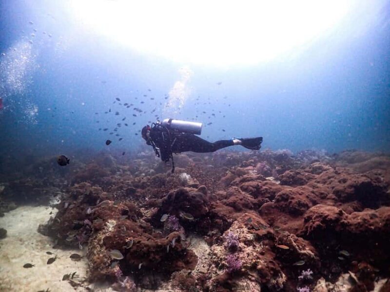 Scuba Diving in Phuket 4-Day 3-Night Experience - Introduction to the Phuket Scuba Experience