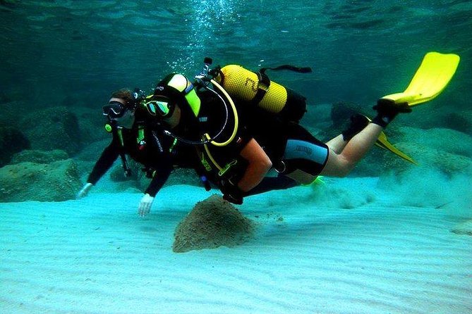 Scuba Diving in Rosario Islands - Frequently Asked Questions