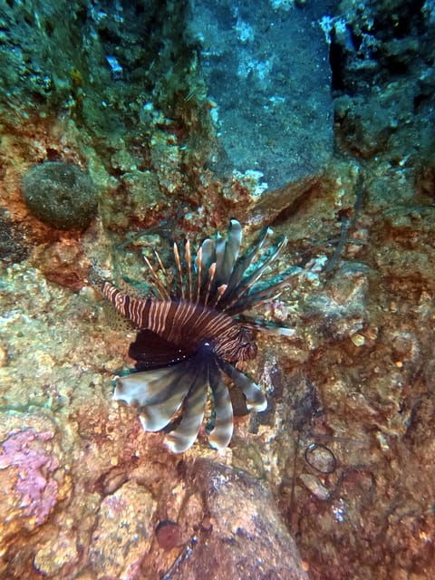 Scuba Diving in the Volcanic Caldera/shorelines of Santorini - Health and Safety Guidelines