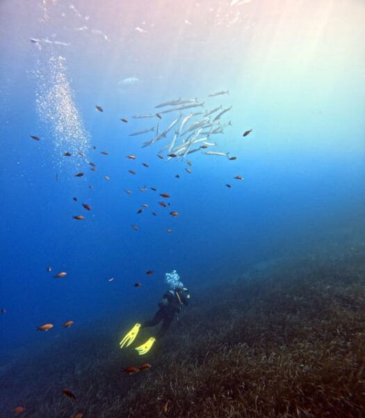 Scuba Diving in the Volcanic Caldera/shorelines of Santorini - Booking and Cancellation Policy