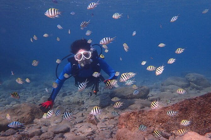 Scuba diving in Yakushima! (Guided Fun Diving for Licensed Guests) - Who Is This Tour Best For?