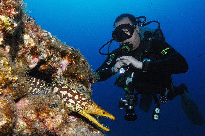 Scuba Diving Multi Dives in Playa De La Americas - What To Expect