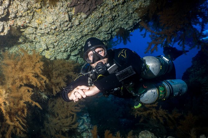 Scuba Diving Multi Dives in Playa De La Americas - The Sum Up