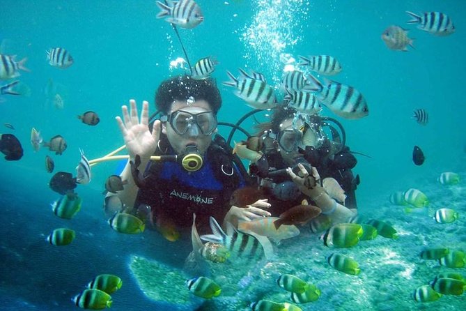 Scuba Diving - Parasailing - Banana Boat - All Inclusive With Hotel Transfer - Good To Know