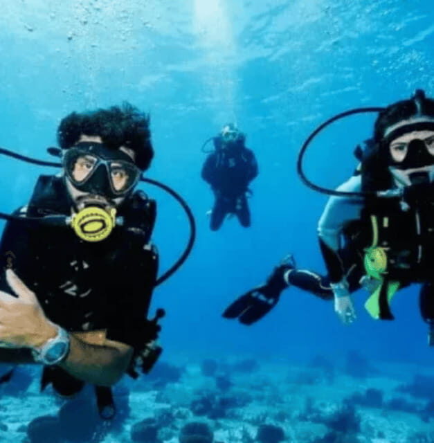 Scuba Diving Playa del Carmen: PADI Open Water Certification - What to Expect from the Playa del Carmen PADI Open Water Course