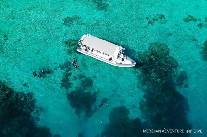 Scuba Diving & Snorkeling; Raja Ampat Indonesia (MAD) - Dive & Snorkel Experience