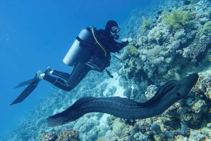 Scuba Diving Refresher(3 Dives) - Participant Restrictions