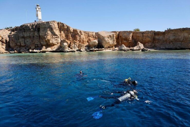 Scuba Diving, Snorkeling and Pick-up, Lunch - Flexible Cancellation and Reservation Policy