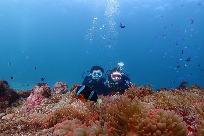 Scuba Diving & Snorkeling - Scuba Diving Equipment