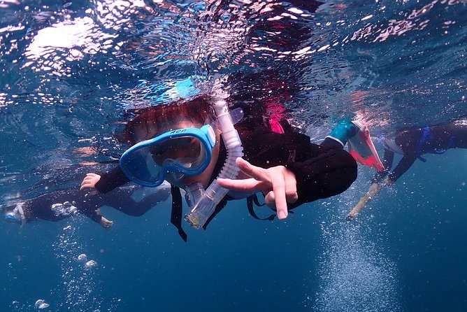 Scuba Diving & Snorkeling - Best Dive and Snorkel Locations