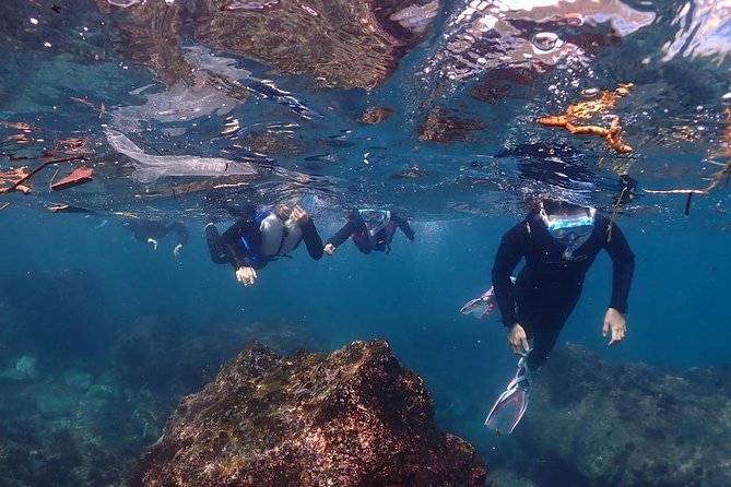 Scuba Diving & Snorkeling - Benefits of Scuba Diving and Snorkeling