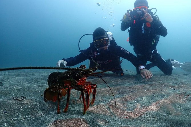 Scuba Diving & Snorkeling - The Sum Up