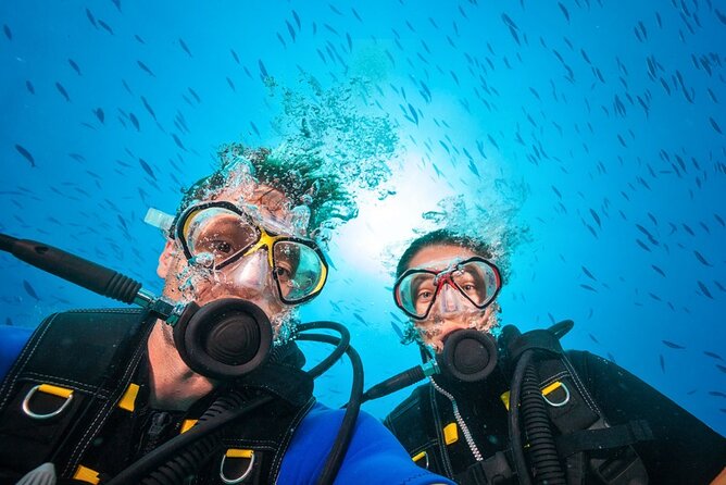 Scuba Diving to Dimaniyat Islands Muscat Oman - Additional Information and Accessibility