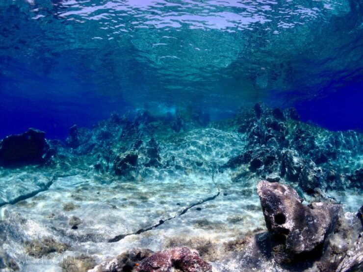 Scuba Diving to the Aeolian Islands From Milazzo - Good To Know
