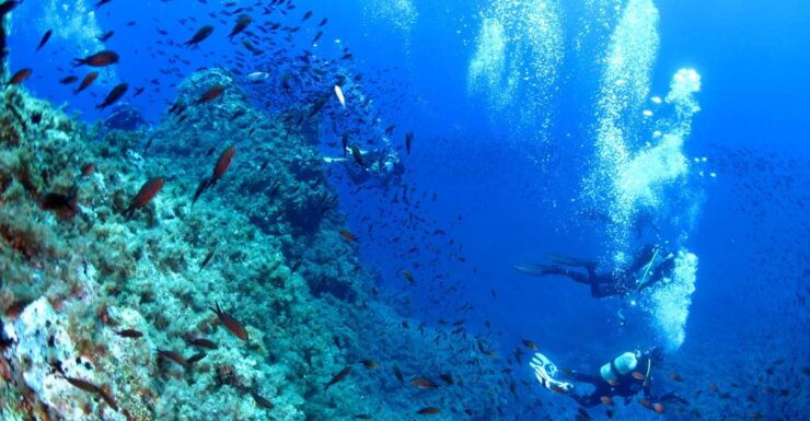 Scuba Diving to the Aeolian Islands From Milazzo - Inclusions