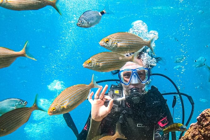Scuba Diving Tour in Antalya - Good To Know