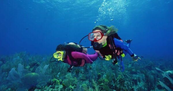 Scuba Diving Tour With Transfer From Alanya and City of Side - What to Expect