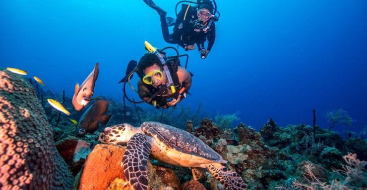 Scuba Diving Tour With Transfer From Alanya and Side - Activity Details