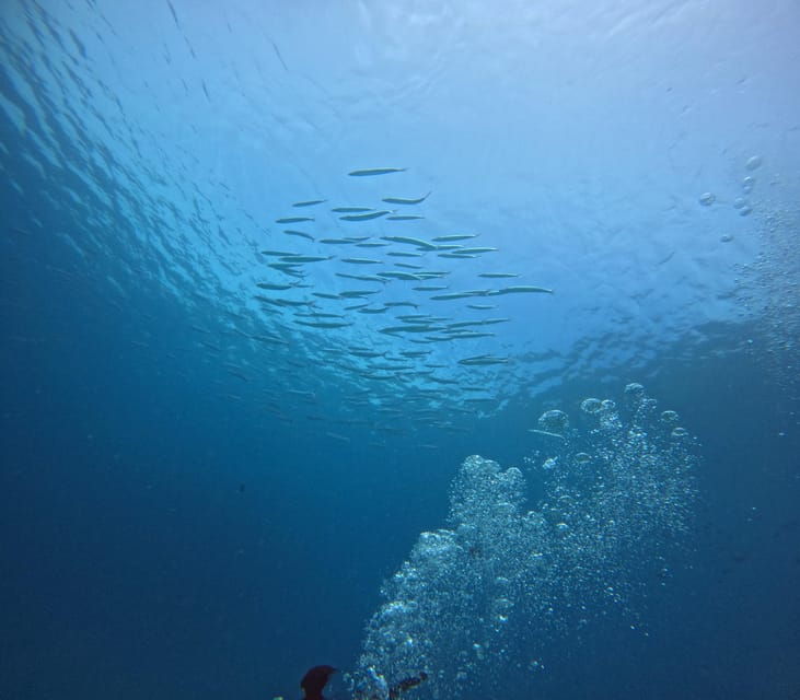 Scuba Diving Trip by Boat to the Beloved Spots Near Phuket - Participant Guidelines