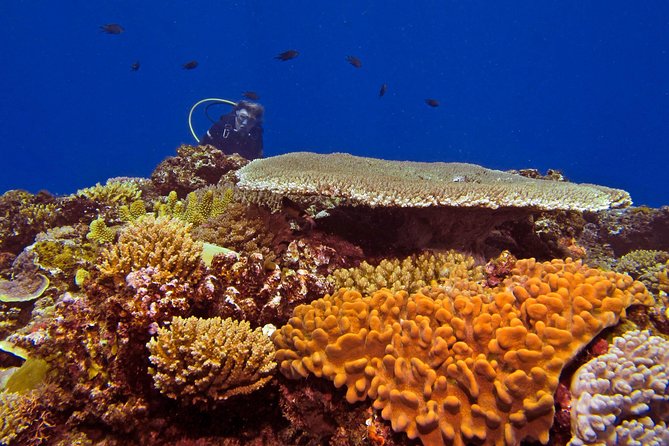 Scuba Diving Trips for Certified Divers - Physical Requirements