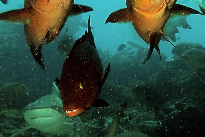 Scuba Diving Trips for Certified Divers - Weather Considerations