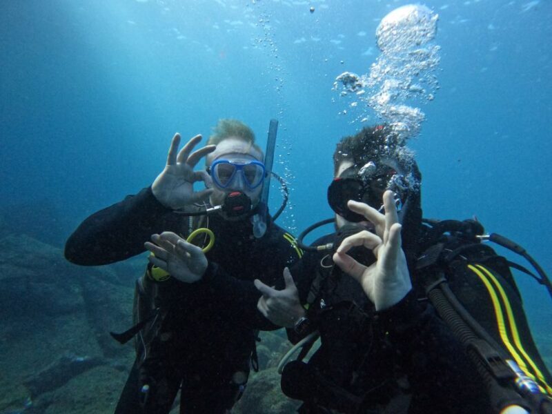 Scuba Diving trips for Certified Divers in Tenerife - The Itinerary Breakdown