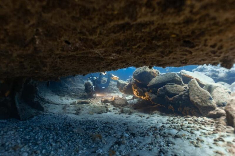 Scuba Diving trips for Certified Divers in Tenerife - Pricing & Value