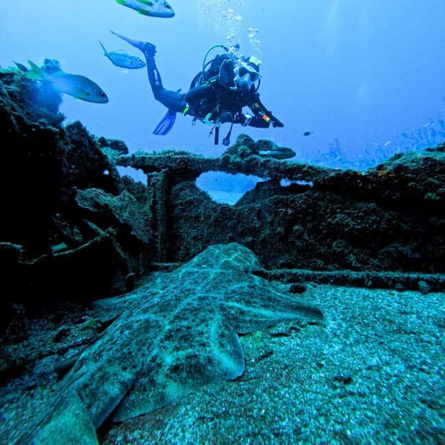 Scuba Diving trips for Certified Divers in Tenerife - Who Is This Tour Best For?