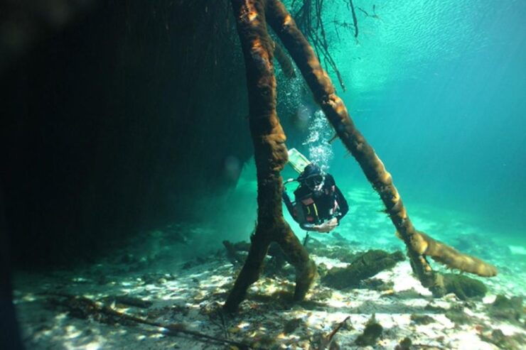 Scuba Diving Tulum Beginners: Explore the Underwater World - Experience Highlights