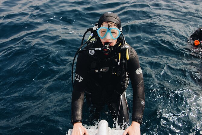 Scuba Diving Underwater - Essential Scuba Diving Gear