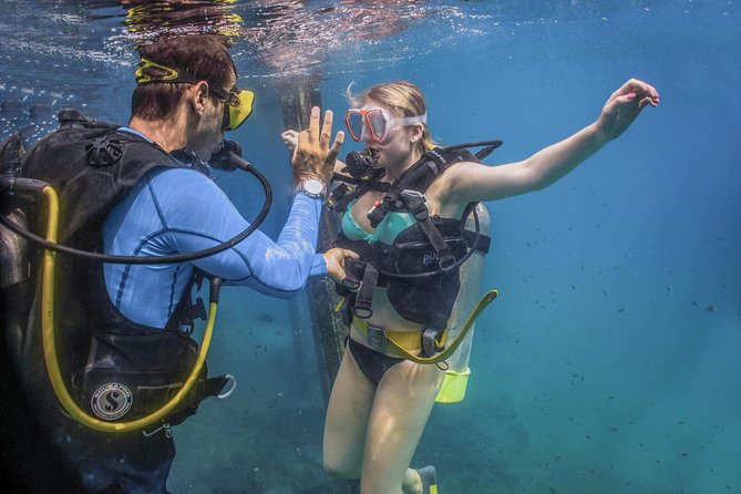 Scuba Diving With a 5-Star PADI Center in Puerto Vallarta - Pricing and Booking