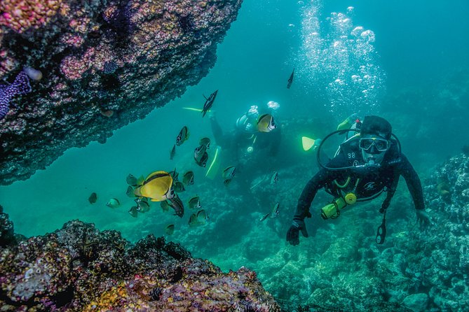 Scuba Diving With a 5-Star PADI Center in Puerto Vallarta - Additional Details