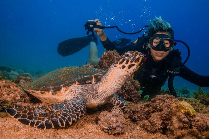 Scuba Diving With a 5-Star PADI Center in Puerto Vallarta - Safety Guidelines