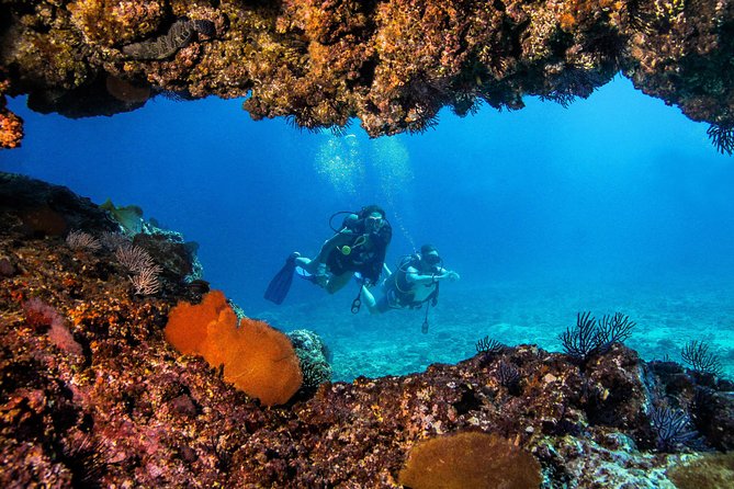 Scuba Diving With a 5-Star PADI Center in Puerto Vallarta - Common Questions