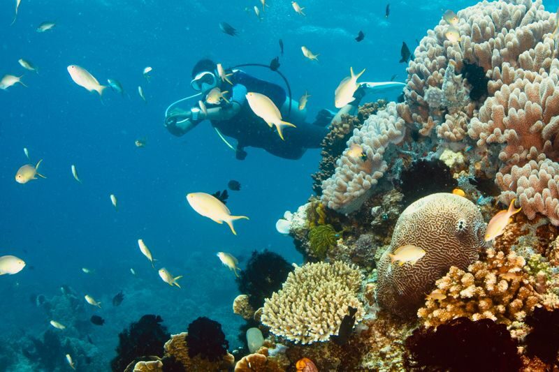 Scuba Diving with Wicked Squid Divers - A beginner-friendly way to see Boracay underwater