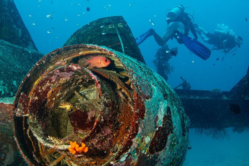 Scuba Diving with Wicked Squid Divers - Price, package choices, and value