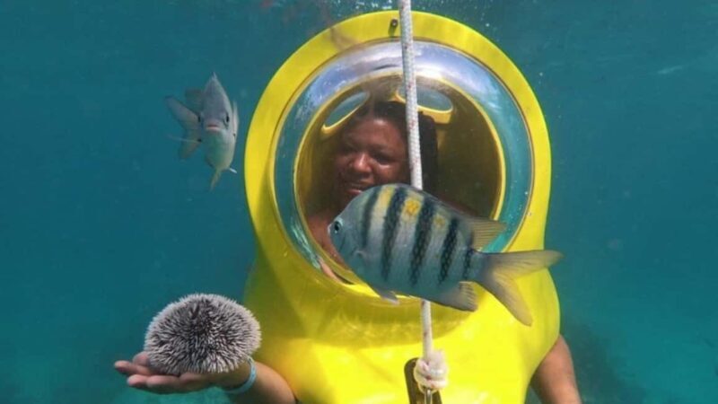 Scuba Doo - Diving Scooters in Punta Cana - Practical Details and Tips