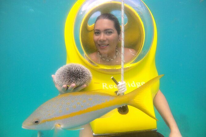 Scuba Doo in Punta Cana with Snorkelling Equipment - Introduction