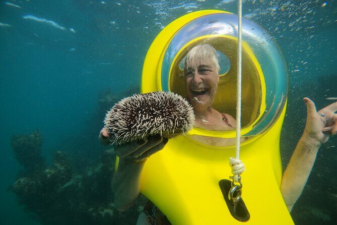 Scuba Doo in Punta Cana with Snorkelling Equipment - Who Should Do This Tour?