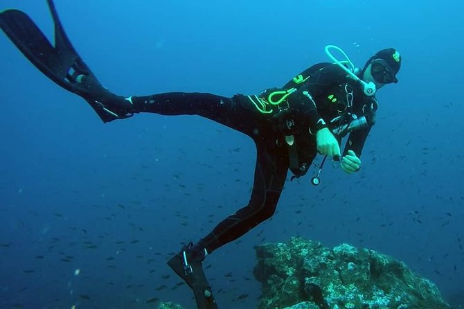 Scuba Experience - The Sum Up