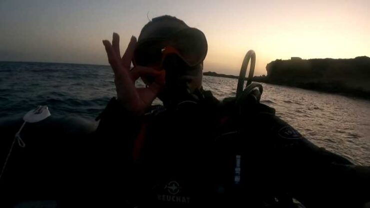 Scuba Night Dive for Certified Divers in Tenerife - Good To Know