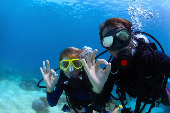 Scuba PADI Open Water Course & Beach Club With Transportation in Riviera Maya - Pickup Details