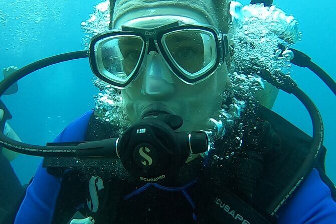 Scuba Reef Dive in Waikiki with One Tank - The Sum Up